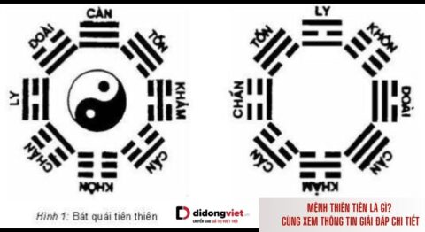 Mệnh thiên tiên là gì? Tiên thiên khí là gì? Cùng xem bài giải đáp chi tiết sau đây mệnh thiên tiên