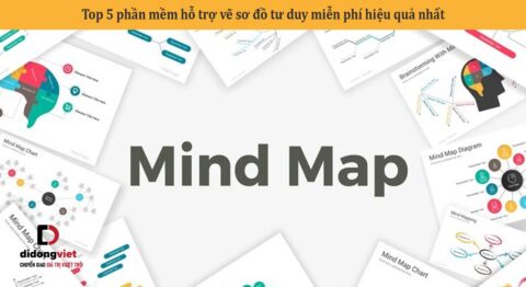 Top 5 phần mềm hỗ trợ vẽ sơ đồ tư duy miễn phí hiệu quả nhất