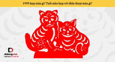 1999 hợp màu gì? Tuổi mão hợp với điện thoại màu gì?