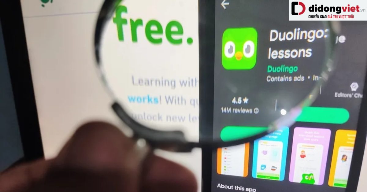 Hơn 2,6 triệu người dùng Duolingo bị phát tán dữ liệu
