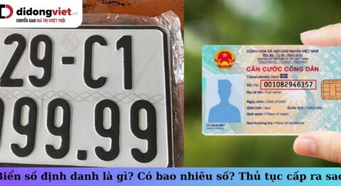 Biển số xe định danh: Tất tần tật các thông tin cần biết từ ngày 15/08/2023 biển số định danh