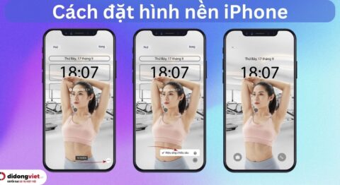 Hướng dẫn 5 Cách cài hình nền iPhone nhanh mới nhất cách đặt hình nền iphone