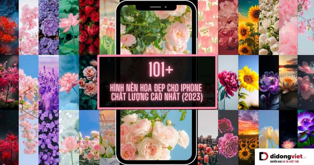 Tải ngay hình nền hoa đẹp cho iPhone chất lượng cao nhất