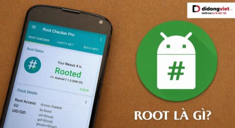 Root là gì