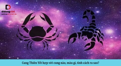 Cung Thiên Yết hợp với cung nào, màu gì, tính cách ra sao?