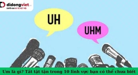 Um là gì? Mọi thông tin bạn cần biết um là gì