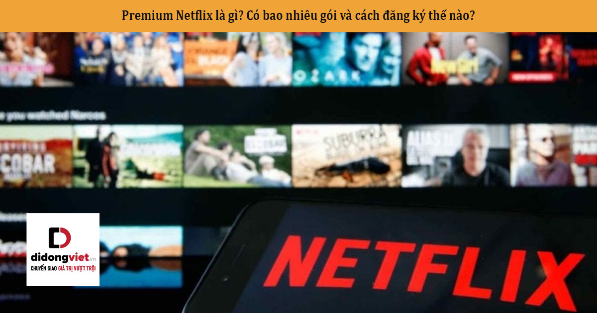 Premium Netflix là gì? Có bao nhiêu gói và cách đăng ký thế nào?