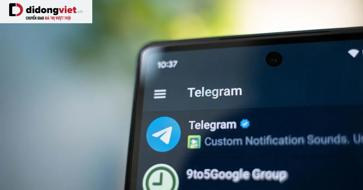 Telegram thêm âm nhạc và “reaction” vào tính năng Story