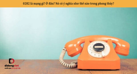 0282 là mạng gì? Ở đâu? Nó có ý nghĩa như thế nào trong phong thủy?