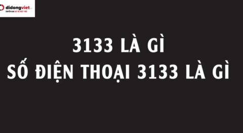 3133 là số gì