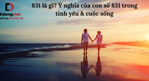 831 là gì