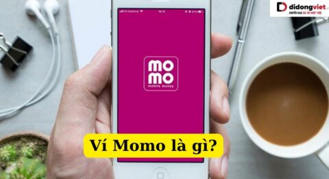 Ví Momo là gì?