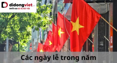 các ngày lễ trong năm