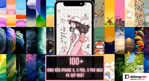 Hình nền iPhone 11