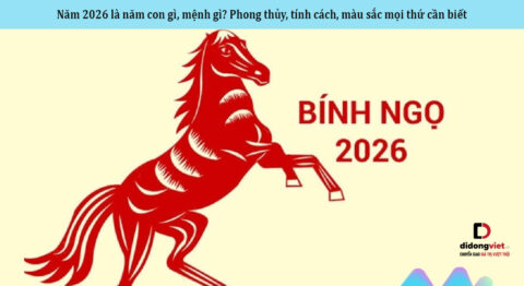 Năm 2026 là năm con gì? Phong thủy, tính cách, màu sắc mọi thứ cần biết