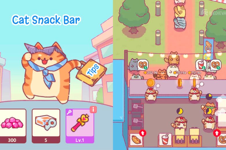 Cat Snack Bar 