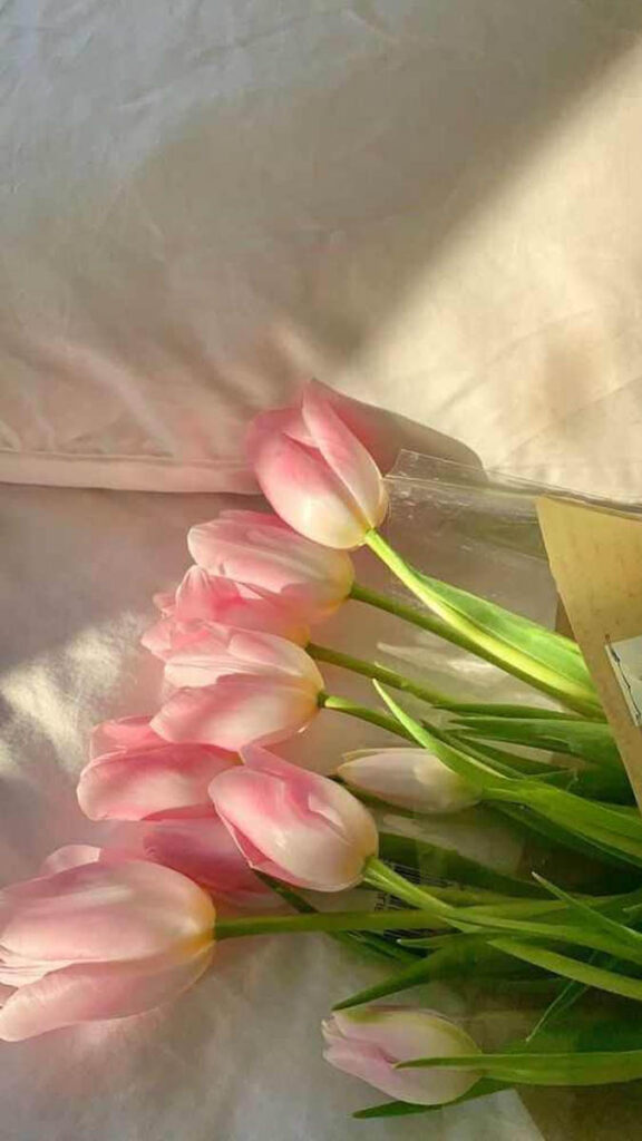 60+ Hình ảnh hoa Tulip cực đẹp, ý nghĩa nhất cho điện thoại, máy tính |  Flower aesthetic, Pretty flowers, Pink tulips