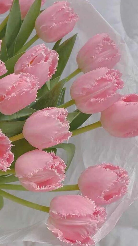 10 hinh nen hoa tulip didongviet