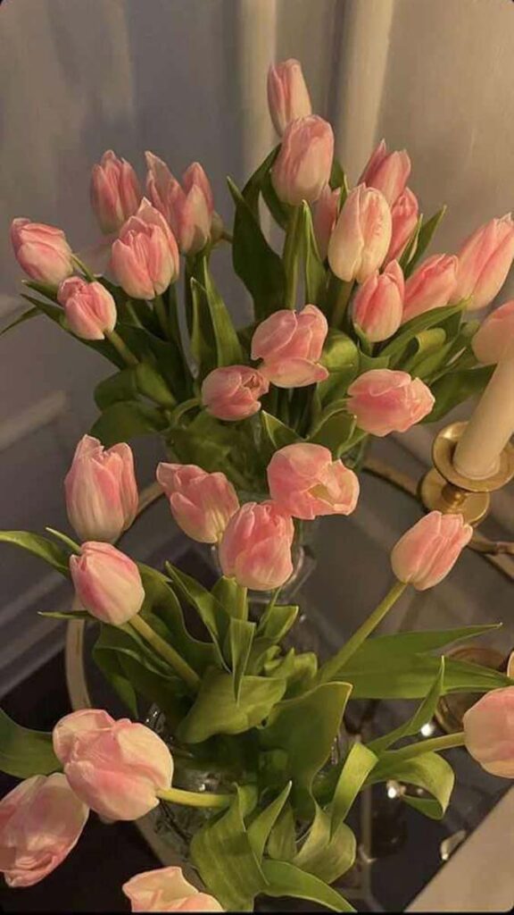 11 hinh nen hoa tulip didongviet