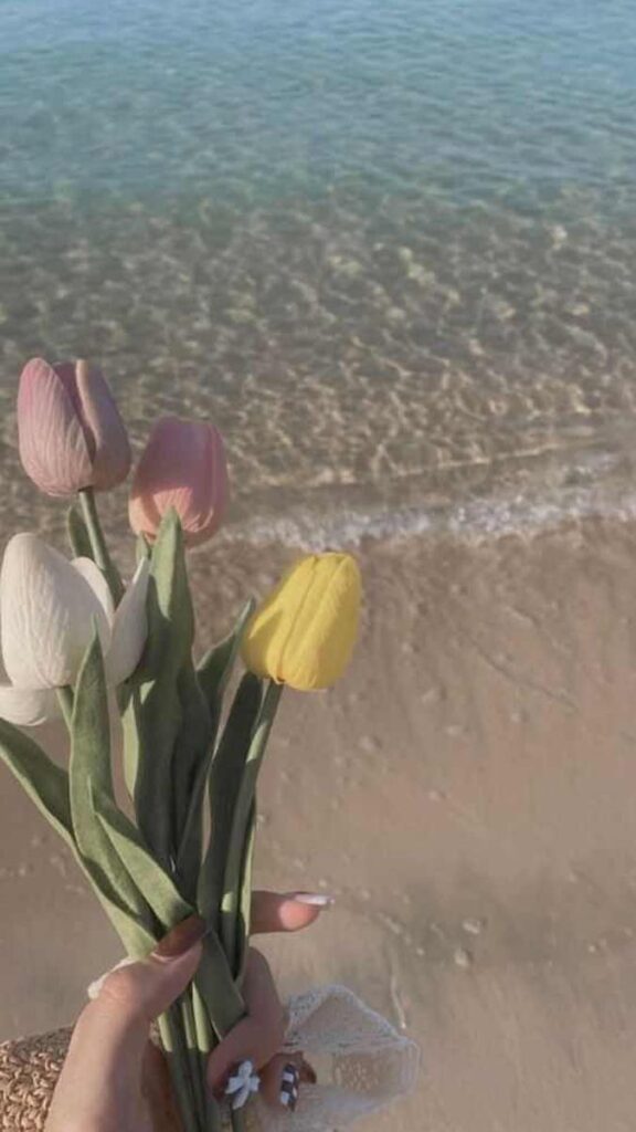 14 hinh nen hoa tulip didongviet