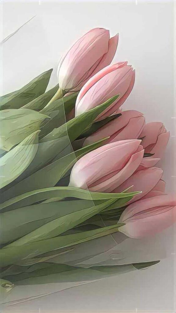 8 hinh nen hoa tulip didongviet