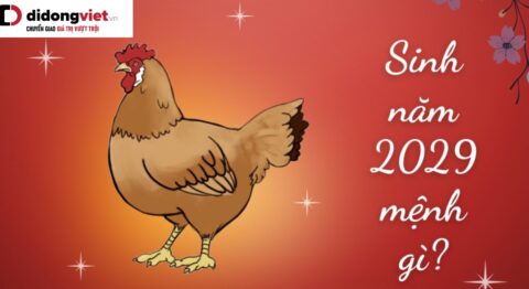 Năm 2029 là năm con gì, mệnh gì? Phong thủy, tính cách, màu sắc mọi thứ cần biết Năm 2029 là năm con gì