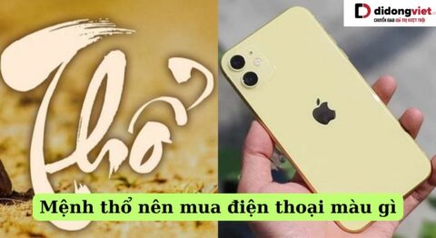 Mệnh thổ mua điện thoại màu gì