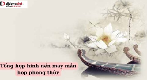 Hình nền may mắn