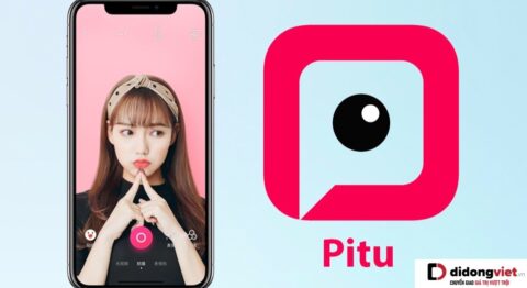 Pitu