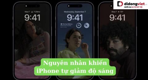 iPhone tự giảm độ sáng