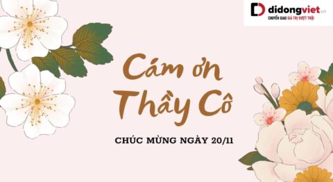 Tổng hợp 55+ các hình ảnh 20 tháng 11 đẹp ngày tri ân thầy cô ảnh 20/11