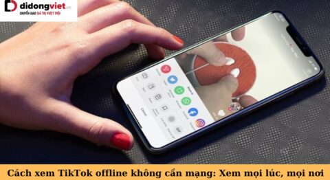 xem tiktok offline
