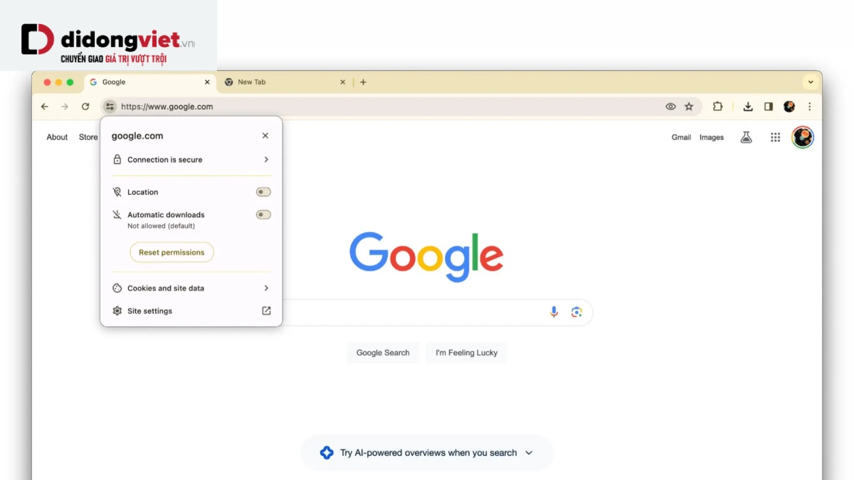 Google Chrome Material You – Giao diện mới đang được triển khai rộng rãi