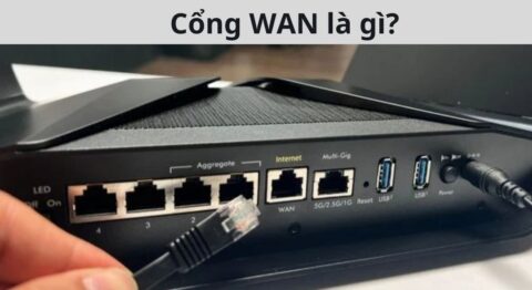 cổng wan là gì