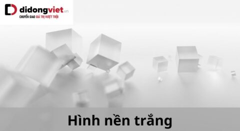 hình nền trắng