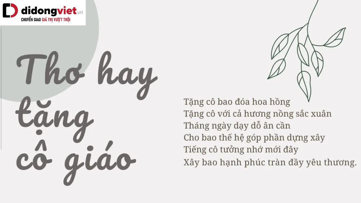 Tổng hợp 25 bài thơ 20 tháng 11 tặng thầy cô dịp Nhà giáo Việt Nam ý nghĩa nhất