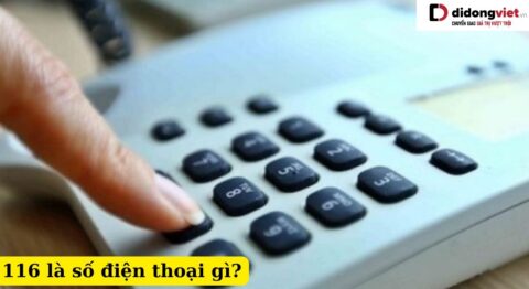 116 là số điện thoại gì,