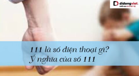 111 là số điện thoại gì