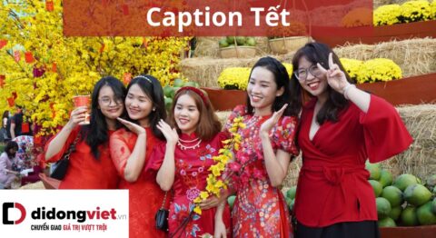 caption tết