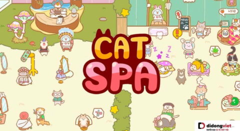 Cat Spa