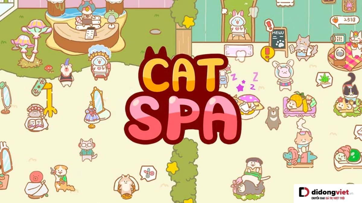 Cat Spa