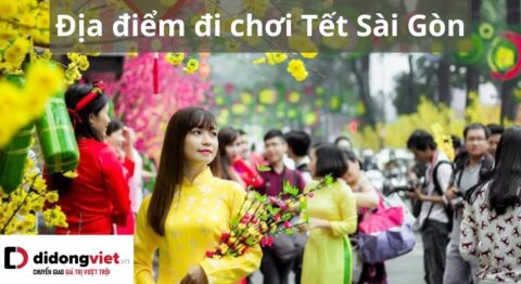 đi chơi tết