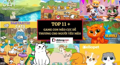 game con mèo