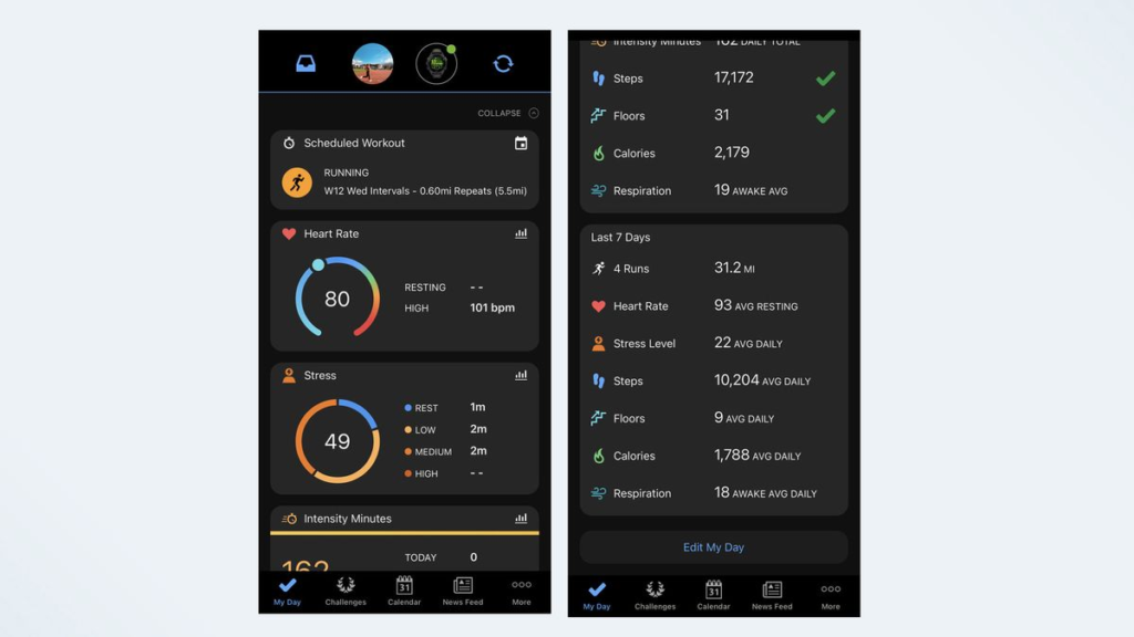 Garmin Connect: Sử dụng ứng dụng đa năng của Garmin cách tối ưu nhất 14 image 114