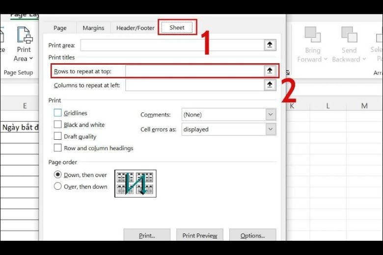 lặp lại title nhập excel