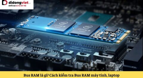 bus ram là gì