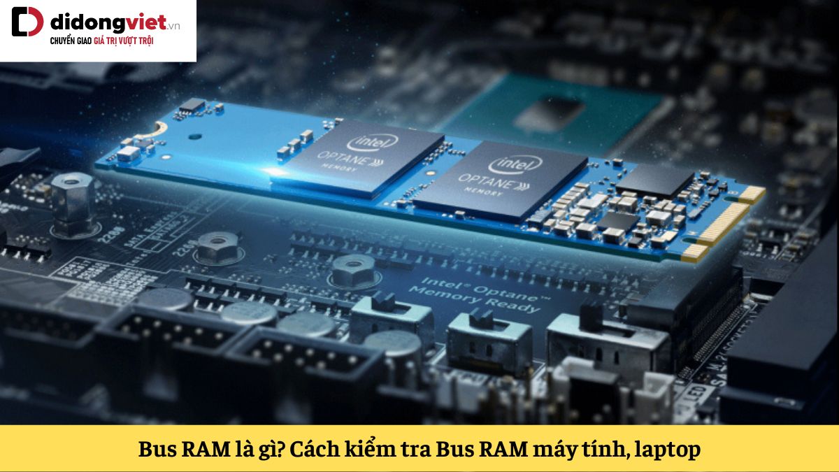 Bus RAM là gì? Hướng dẫn chọn mua Bus RAM phù hợp máy tính, laptop