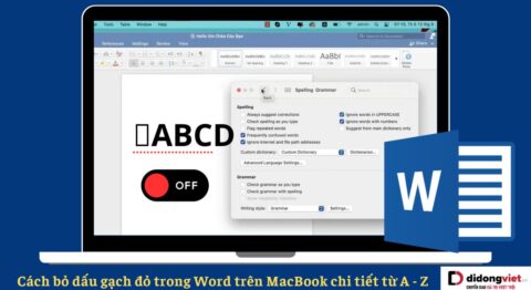 Cách bỏ dấu gạch đỏ trong Word trên MacBook