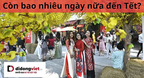 còn bao nhiêu ngày nữa đến tết