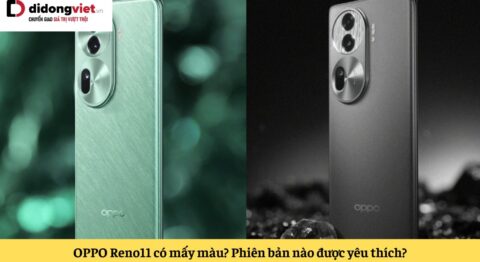 oppo reno11 có mấy màu